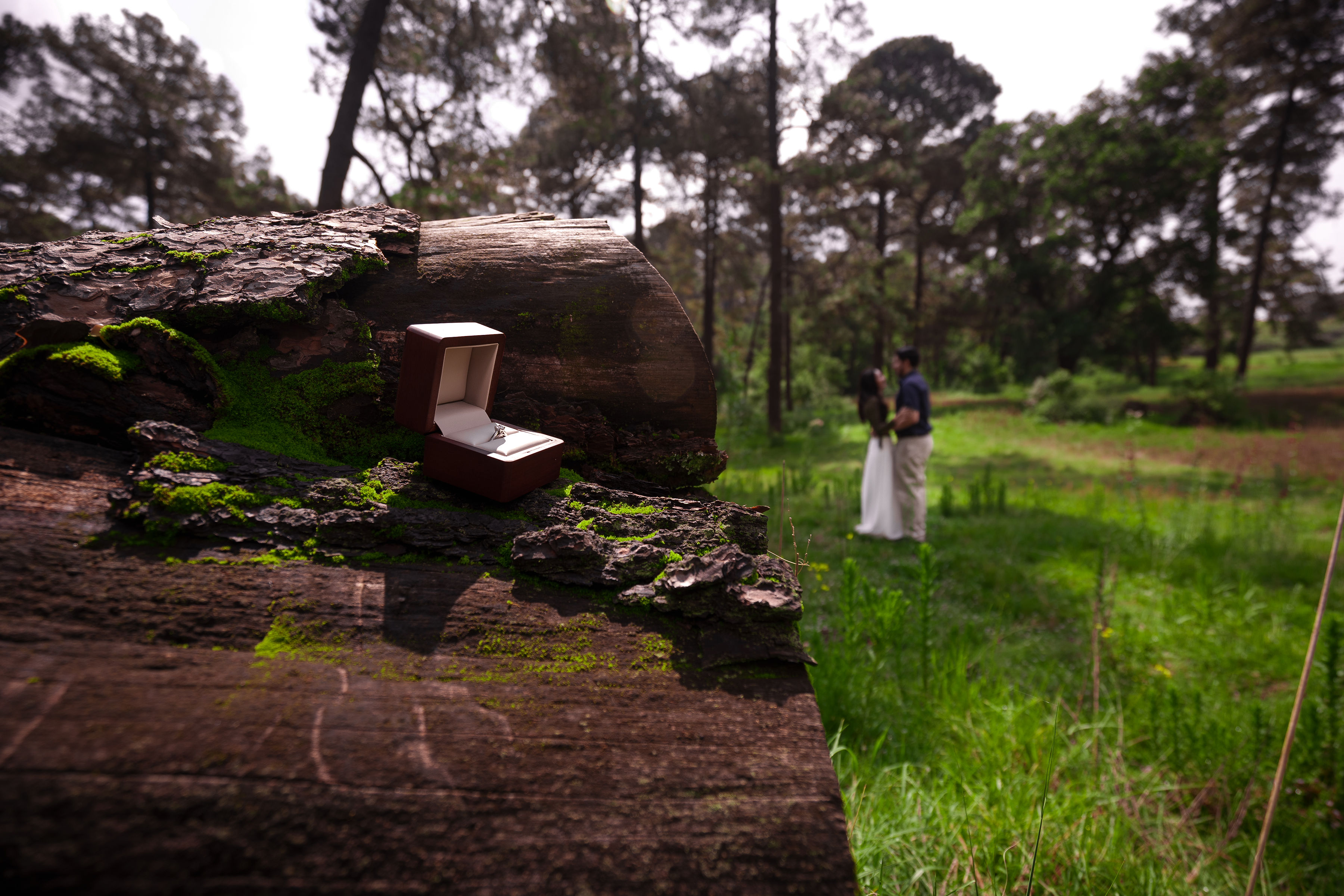 Roberto & Karina — photo 3